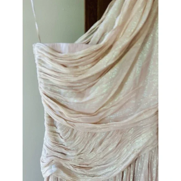 BHLDN One-Shoulder Maxi Dress Formal Gown Ruched Pink‎ Sparkle Size 4 - Picture 11 of 11